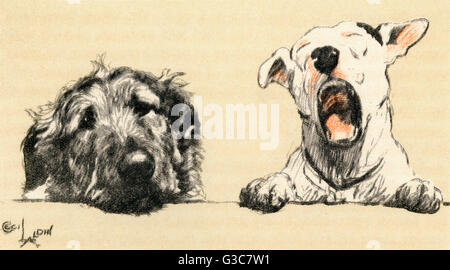 Illustration par Cecil Aldin, Micky et Cracker Banque D'Images