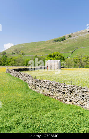 Les prés de fleurs sauvages, murs de pierres sèches et des granges autour de Gunnerside dans Swaledale, le Yorkshire Dales, Angleterre, juin 2016