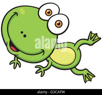 Cartoon Vector illustration de grenouille verte Illustration de Vecteur