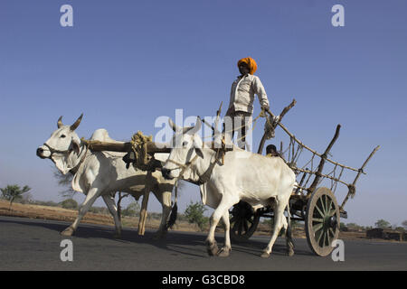Charrette sur route, Inde Banque D'Images