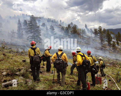 Les pompiers en milieu sauvage de garder un oeil sur un brûlage dirigé comme la fumée et les flammes lieu de Mad Creek à l'Arapaho National Forest le 9 juin 2016 près de Empire, Colorado. Le brûlage intentionnel de broussailles sèches fait partie d'un projet d'amélioration de l'habitat du mouflon et empêcher un plus grand feu de forêt. Banque D'Images