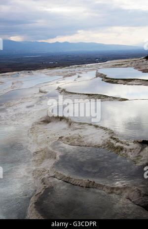 Les terrasses de Pamukkale plein d'eaux chaudes minérales provenant des sources chaudes (Turquie). Banque D'Images