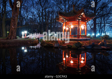 Pavillons traditionnels chinois dans le parc Lazienki à Varsovie dans la nuit Banque D'Images