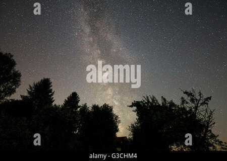 La photographie d'exposition longue, Milky Way derrière des arbres Banque D'Images