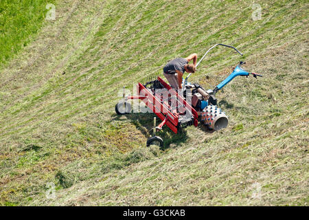 La faneuse sur des pâturages de montagne Banque D'Images