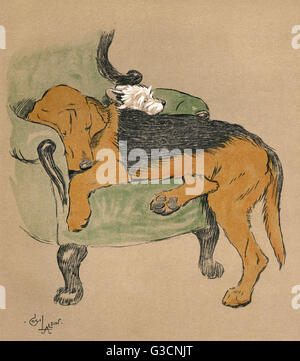 Illustration par Cecil Aldin. Mac, dormir paisiblement dans un fauteuil, s'assit sur par un chiot bloodhound et craintes qu'il sera étouffé. Date : 1912 Banque D'Images