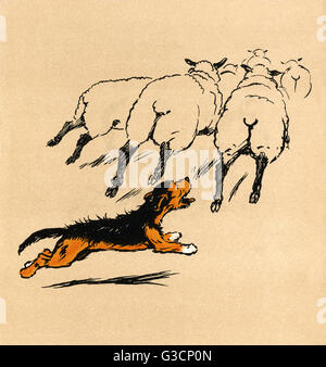 Illustration par Cecil Aldin, le livre de chiots Mongrel Banque D'Images