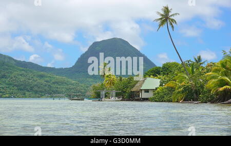 Port d'un îlot avec une chambre et le mont Moua Tapu en arrière-plan, l'île de Huahine, Polynésie Française, Pacifique sud Banque D'Images