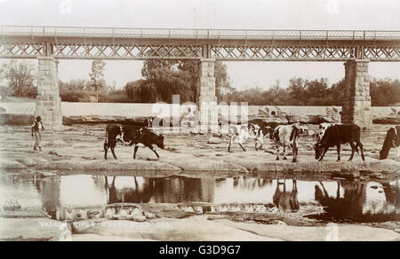 Rivière Valsch, Kroonstad, colonie de la rivière Orange, Afrique du Sud Banque D'Images