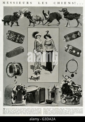 Accessoires Edwardian pour chiens 1912 Banque D'Images