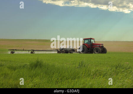 Un agriculteur de pulvériser un champ avec l'aide d'un herbicide Magnum Case IH 7220 tracteur et un pulvérisateur 62 Flexicoil, en Alberta, Canada. Banque D'Images