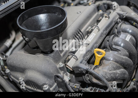 Contrôle du niveau d'huile dans le moteur Banque D'Images