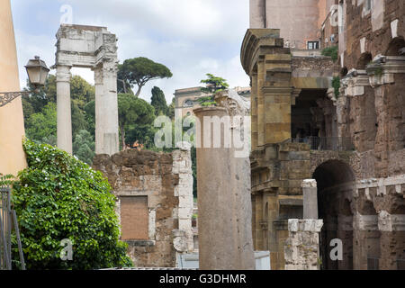 Italien, Rom, Tempel des Apollo (Sosianus Apollotempel), rechts das Marcellustheater Banque D'Images