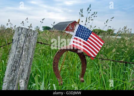 Drapeau américain et Rusty à cheval sur Barb Wire Fence in rural field. Banque D'Images