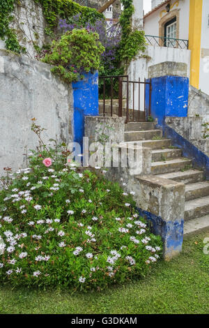 Petit jardin résidentiel dans la ville historique d'Obidos, Portugal, Estremadura Banque D'Images