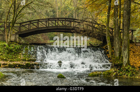 Automne Banque D'Images