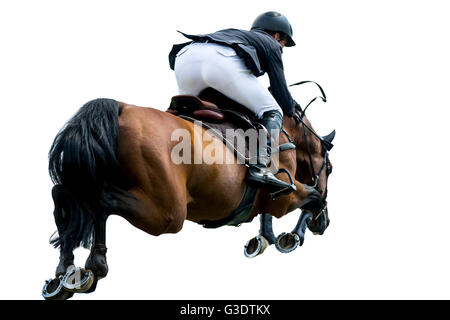 Saut à cheval, les sports équestres, isolé sur fond blanc Banque D'Images