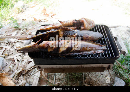 Le Clarias est une espèce de poisson-chat marche thai style frites grillées sur vieille cuisinière Banque D'Images