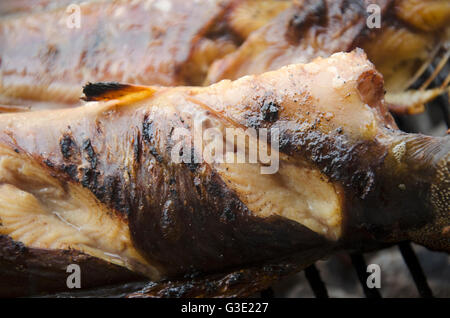Le Clarias est une espèce de poisson-chat marche thai style frites grillées sur vieille cuisinière Banque D'Images