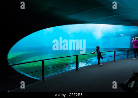 Gênes, Italie - juin 2, 2015 : personnes non identifiées à l'aquarium de Gênes. L'Aquarium de Gênes est le plus grand aquarium d'Italie et un Banque D'Images