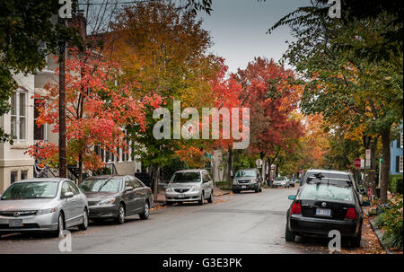 Une rue bordée d'arbres avec un feuillage d'automne spectaculaire sur les arbres, Georgetown Washington DC Banque D'Images