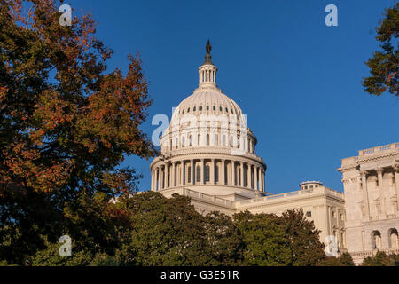 Le Capitole des États-Unis , le lieu de rencontre du Sénat et de la Chambre des représentants, situé au sommet de Capitol Hill , Washington DC Banque D'Images