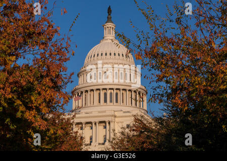 Le Capitole des États-Unis , le lieu de rencontre du Sénat et de la Chambre des représentants, situé au sommet de Capitol Hill , Washington DC Banque D'Images