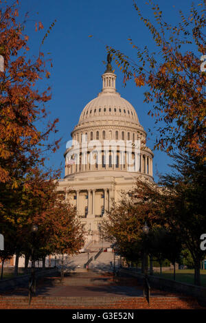 Le Capitole des États-Unis , le lieu de rencontre du Sénat et de la Chambre des représentants, situé au sommet de Capitol Hill , Washington DC Banque D'Images