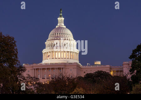 Le dôme en fonte de style gâteau de mariage du bâtiment du Capitole des États-Unis illuminé la nuit, Capitol Hill, Washington DC, Etats-Unis Banque D'Images