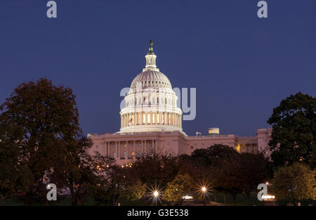 Le dôme en fonte de style gâteau de mariage du bâtiment du Capitole des États-Unis illuminé la nuit, Capitol Hill, Washington DC, Etats-Unis Banque D'Images