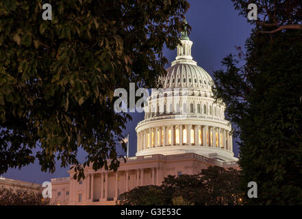 Le dôme blanc du bâtiment du Capitole des États-Unis, illuminé la nuit, Capitol Hill, Washington DC, Etats-Unis Banque D'Images