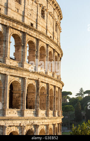 La lumière du matin Colosseum, Rome, Italie. Banque D'Images