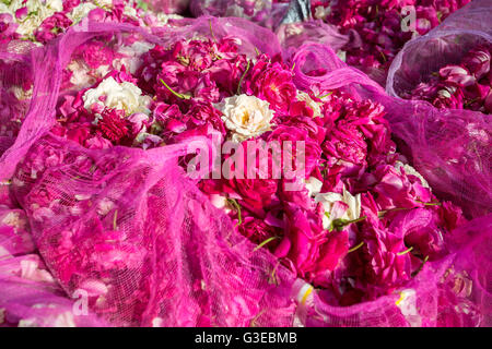Fleurs rose à la vente sur le marché de rue en Indonésie Banque D'Images