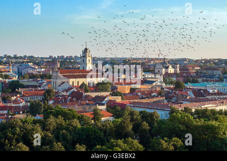 L'été à Vilnius, centre-ville vue sur le centre-ville, la Lituanie Banque D'Images