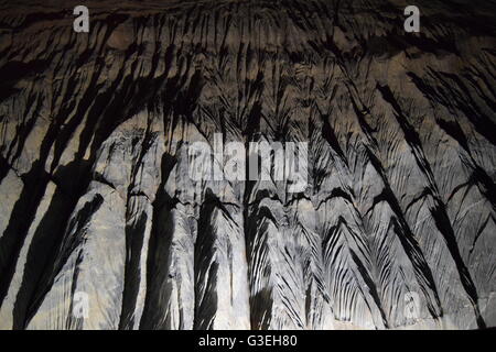 Rock formation du nouveau dans les grottes de Wookey Hole Banque D'Images