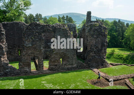 Les ruines pittoresques d'un petit château par un beau jour d'été. Banque D'Images