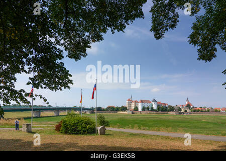 Monument à Elbe commémore la confrontation des républiques et les forces américaines en avril 1945, le château de Hartenfels, Allemagne, Sachsen Banque D'Images