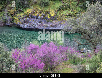 L'embranchement nord de la rivière américaine près de l'écart de géants filon-mère, en Californie. L'embranchement nord de la direction générale est la plus longue de l'American River près de Folsom, Californie. Le nord de la Californie, l'exécution de 88 milles de long de sa source à la crête de la Sierra Nevada, près du lac Tahoe, à son embouchure à Folsom Lake au nord-est de Sacramento. Banque D'Images