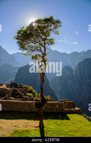 Machu Pichu pendant Banque D'Images