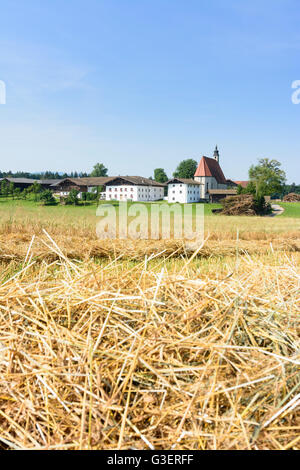 Village Kirchhof, Allemagne, Bavière, Bayern, Oberbayern, Rupertiwinkel, Haute-Bavière, caresser Banque D'Images