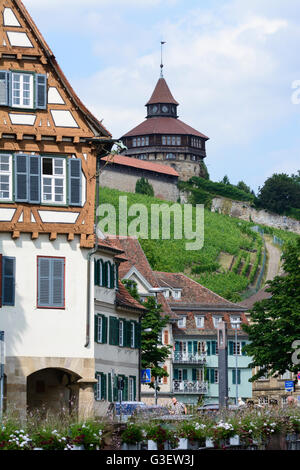 Marktplatz , vignoble, château, l'Allemagne, le Bade-Wurtemberg, la région de Stuttgart, ESSLINGEN AM NECKAR Banque D'Images