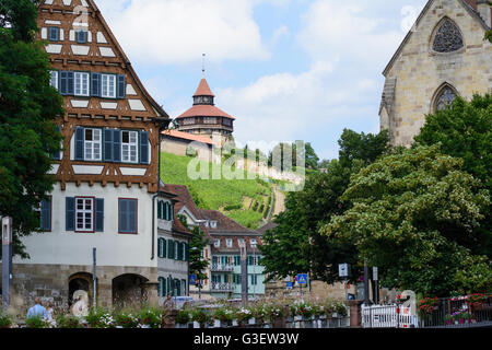 Marktplatz , vignoble, château, l'Allemagne, le Bade-Wurtemberg, la région de Stuttgart, ESSLINGEN AM NECKAR Banque D'Images