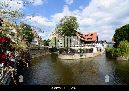 Rossneckar flux avec l'ancienne menuiserie et la ville Eglise Saint Dionys, l'Allemagne, le Bade-Wurtemberg, la région de Stuttgart, Esslingen Banque D'Images