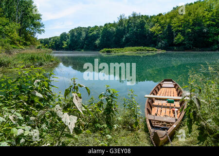 Oxbow du Danube dans le parc national Donauauen, bateau de pêche, l'Autriche, Niederösterreich, Autriche, Donau, Haslau-Mari Banque D'Images