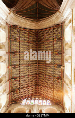 Le 15e siècle hammer-faisceau toit du transept sud avec le vol des anges, de l'intérieur de la cathédrale d'Ely, Ely Cambridgeshire UK Banque D'Images