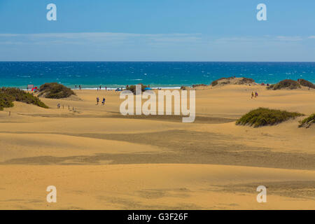Dunes de sable de Maspalomas, Maspalomas, Gran Canaria, Spain, Europe Banque D'Images