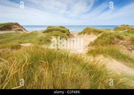 Dunes, ton parc national, Agger, le Nord du Jutland, Danemark Banque D'Images
