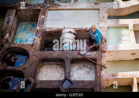 Fes, Maroc - 11 Avril 2016 : un homme travaillant dans une tannerie dans la ville de Fès au Maroc. Banque D'Images