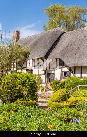 Anne Hathaway's Cottage, Stratford-upon-Avon, Warwickshire, Angleterre, Royaume-Uni, Europe. Banque D'Images