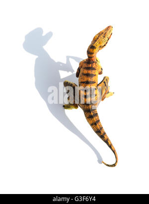 Vue de dessus velociraptor jaune jouet sur un fond blanc avec ombre Banque D'Images